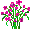 ACOMsprig