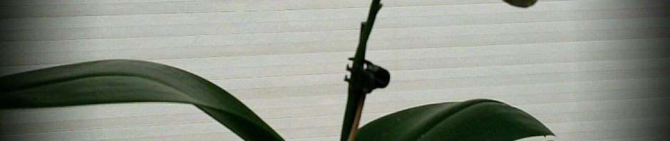 DaylightFadesAwayCairn