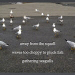 AwayFromTheSquallCairn