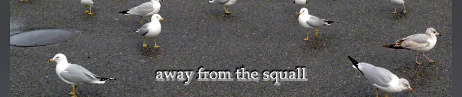 AwayFromTheSquallCairn