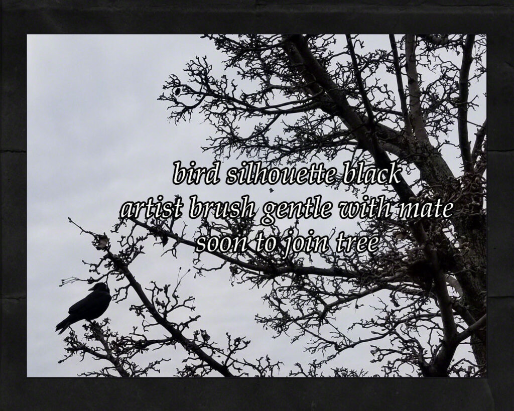 Birdsilhouetteblackcairn