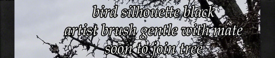 Birdsilhouetteblackcairn