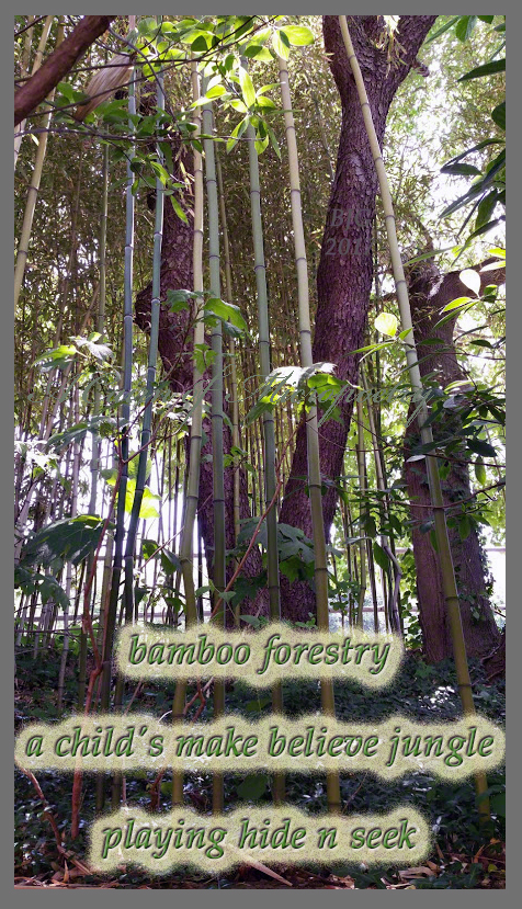BambooForestryCairn