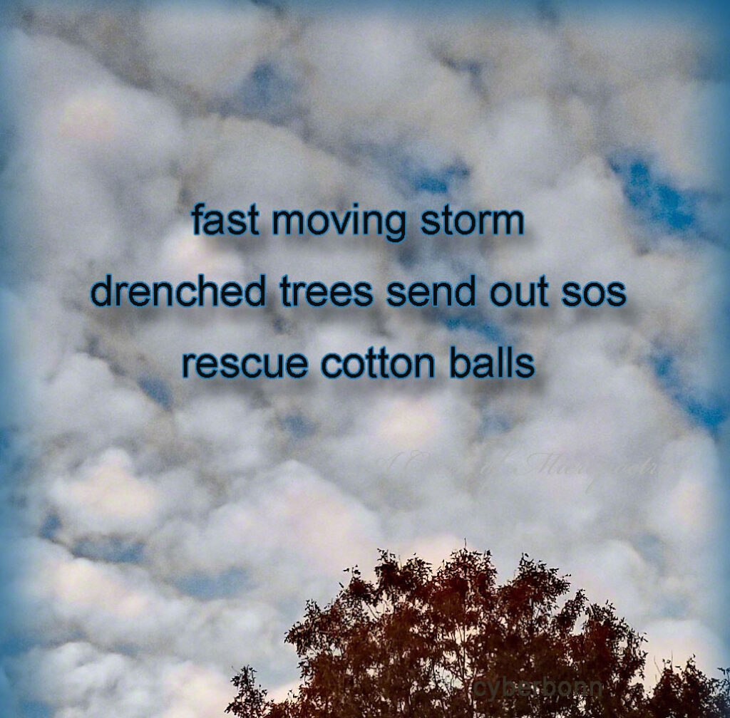 FastMovingStormCairn