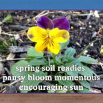 SpringSoilReadiesCairn