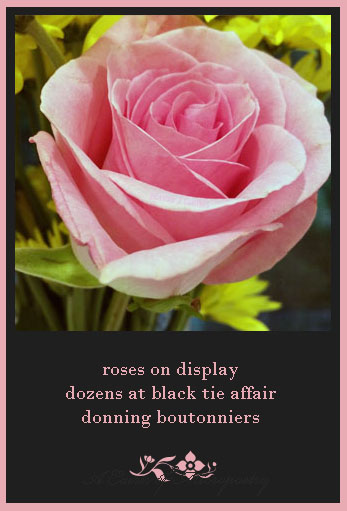RosesOnDisplayACOM